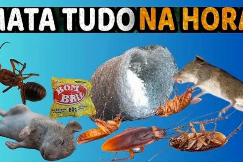 Nao sabia que funcionava assim! E simples: aplique Bombril nos cantos e livre-se de ratos, baratas e formigas